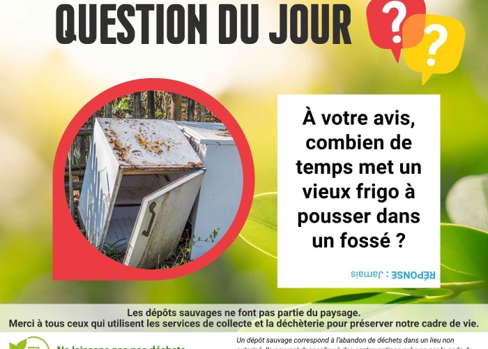 Informations d&eacute;p&ocirc;ts sauvages, Pinsaguel