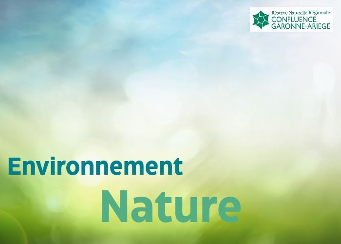 Pr&eacute;sentation g&eacute;n&eacute;rale informations sur l'environnement et la nature &agrave; Pinsaguel