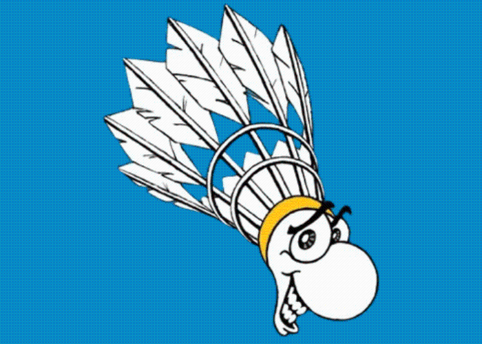 Logo Volants radieux pinsagelois
