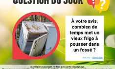 Informations d&eacute;p&ocirc;ts sauvages, Pinsaguel