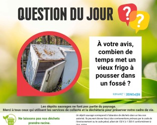 Informations d&eacute;p&ocirc;ts sauvages, Pinsaguel