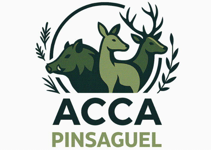 Image de pr&eacute;sentation ACCA Chasse