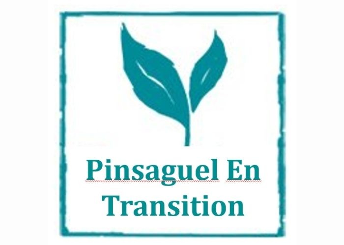 Pinsaguel en transition